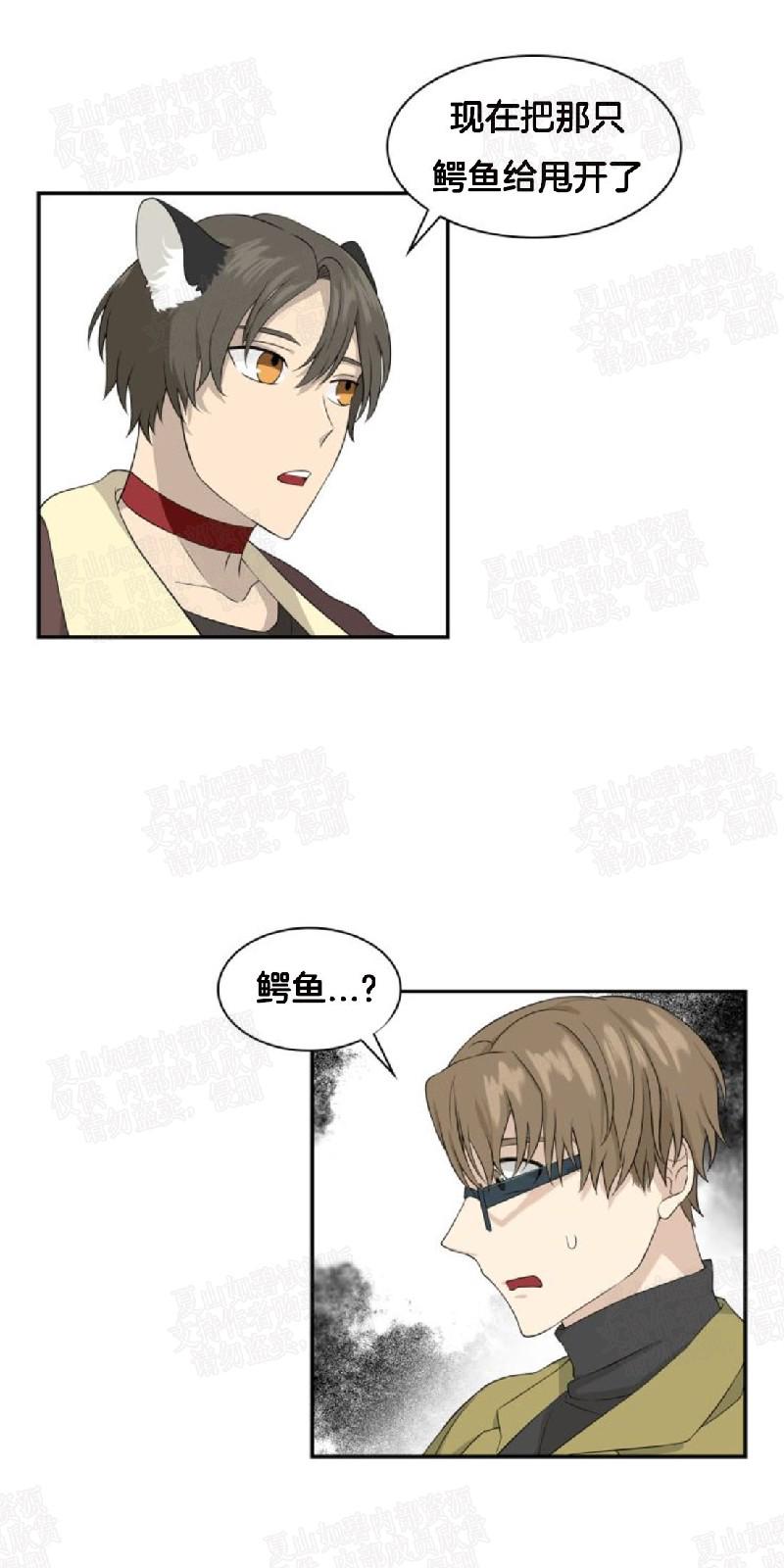 动物王国大冒险网盘漫画,第8话1图