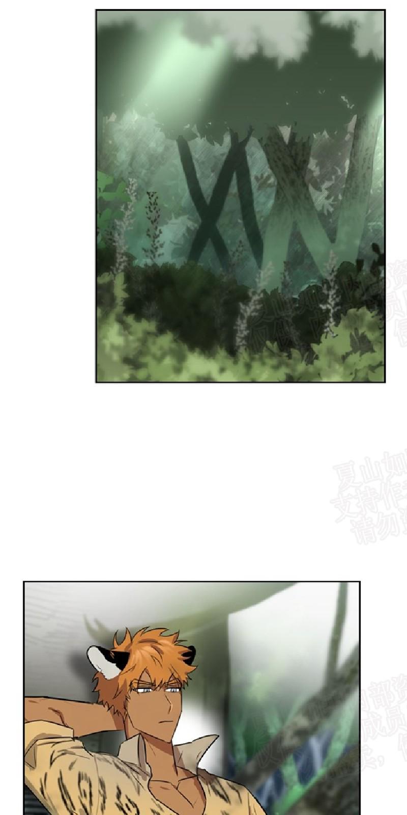 动物王国漫画,第28话1图