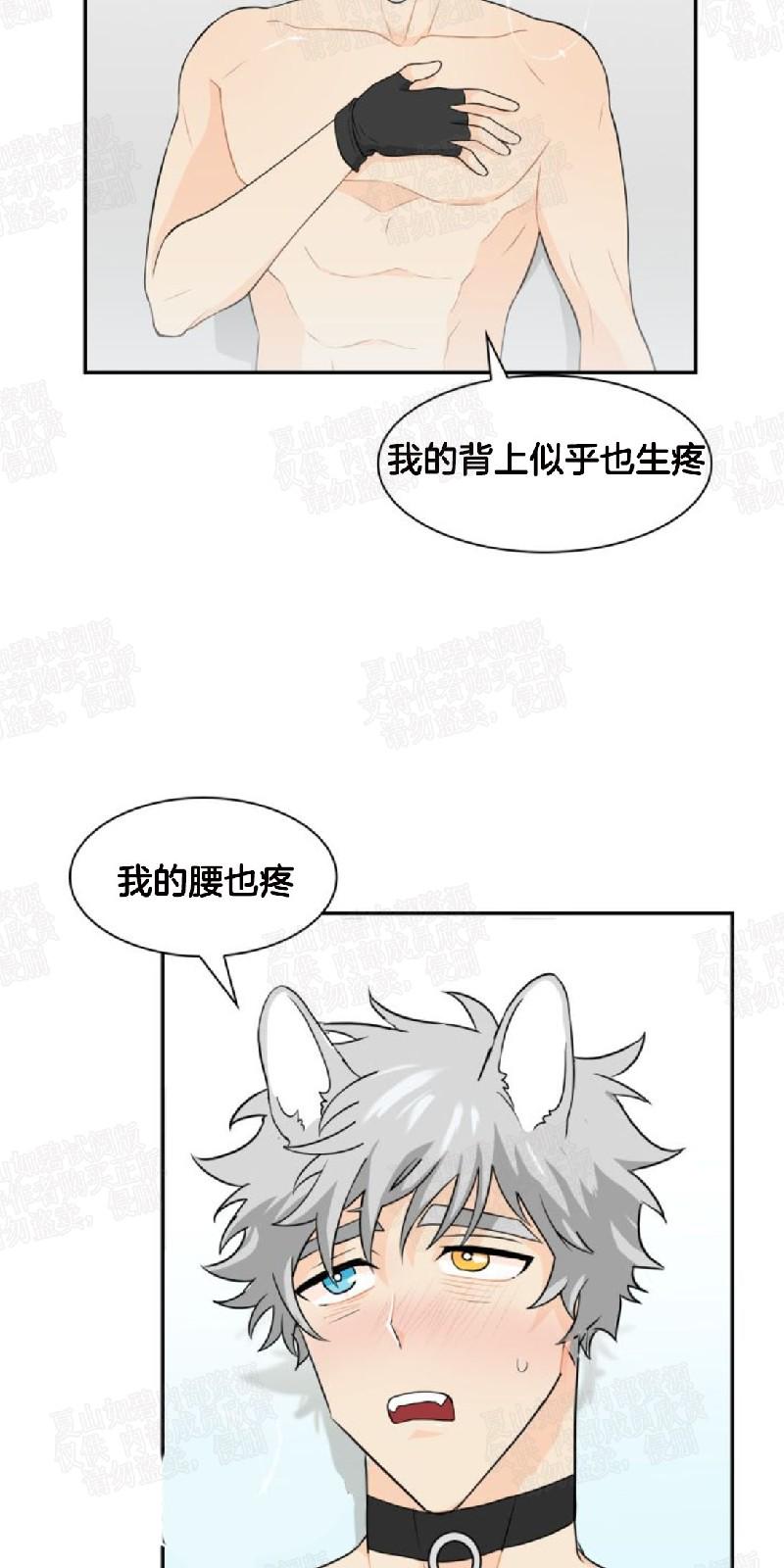 动物王国图片大全大图漫画,第11话2图