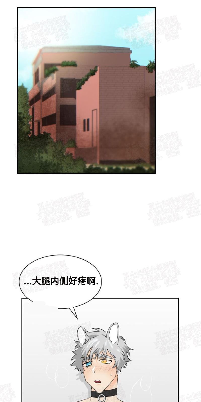 动物王国图片大全大图漫画,第11话1图