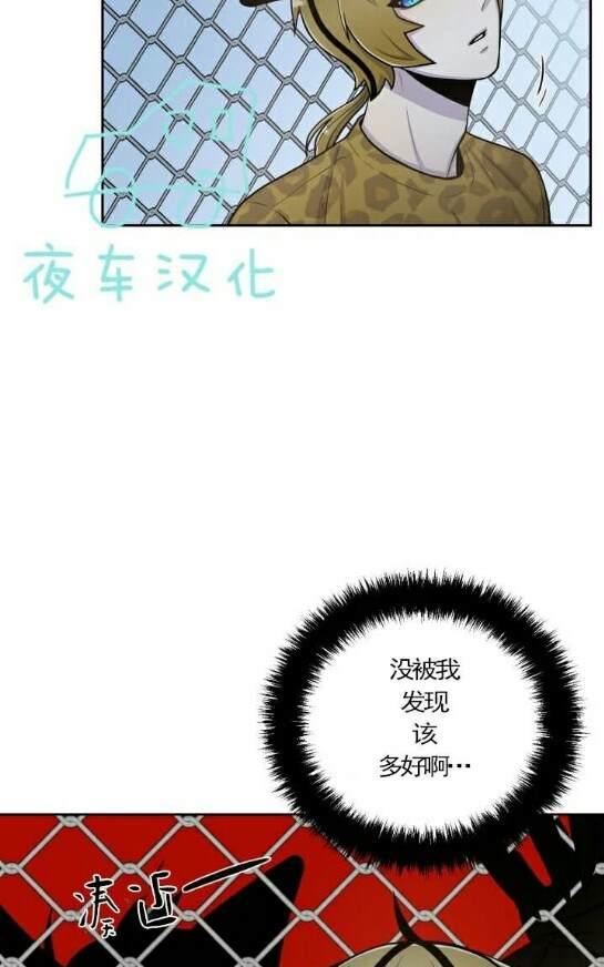 动物王国大冒险网盘漫画,第49话3图