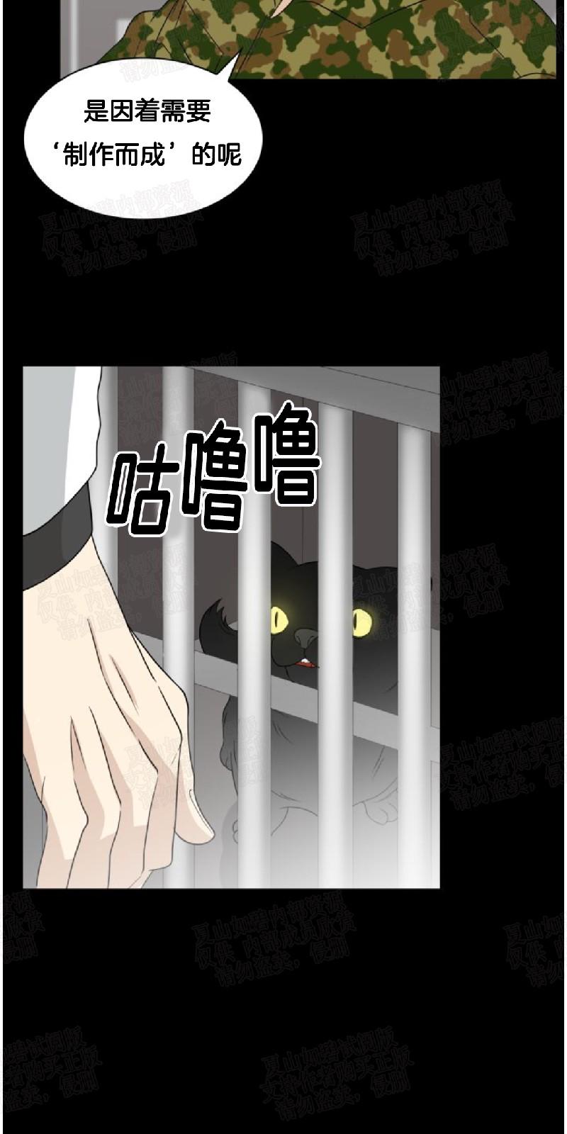 动物王国开大会作文300小学三年级漫画,第20话3图