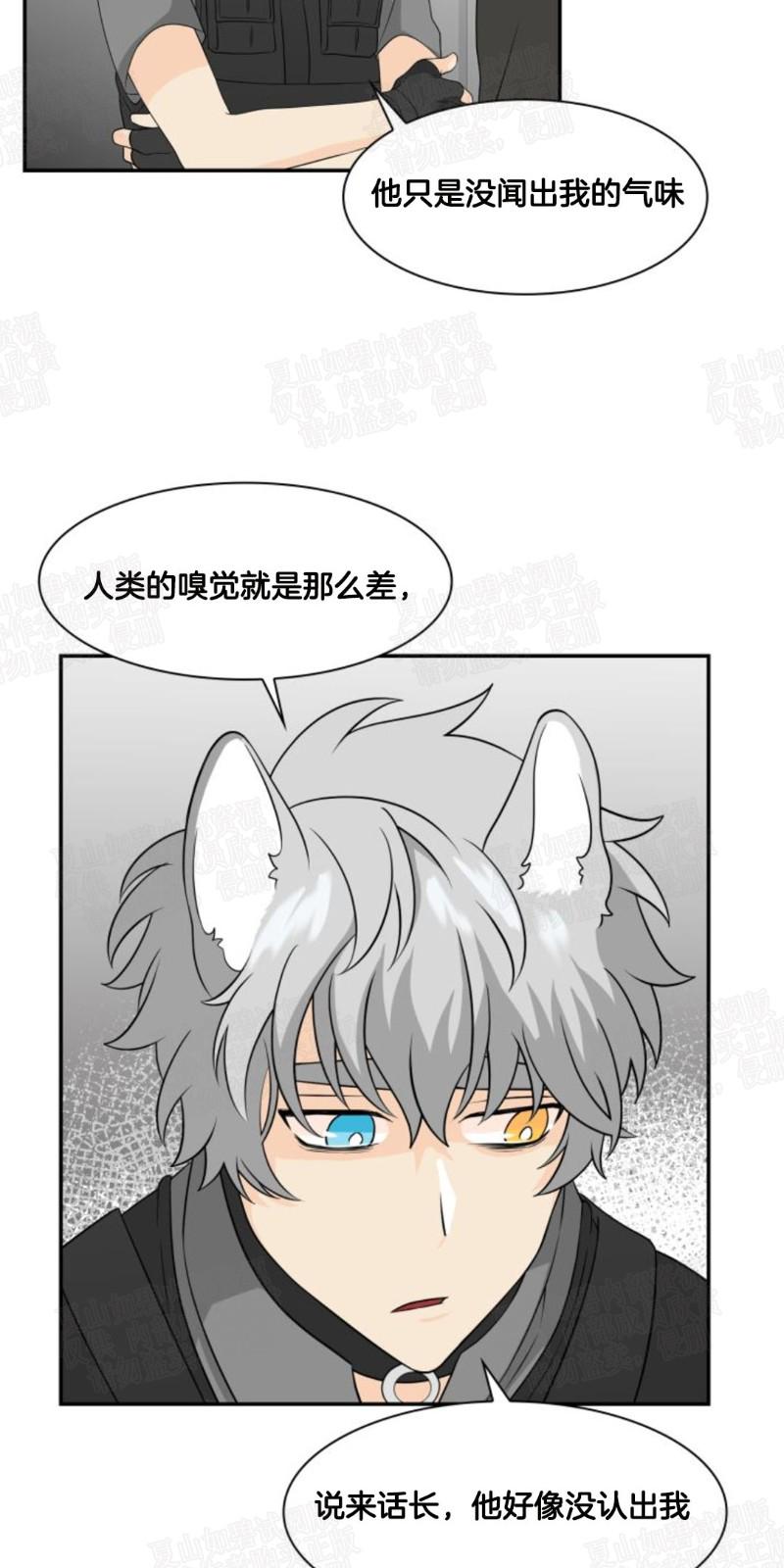 动物王国漫画,第9话3图