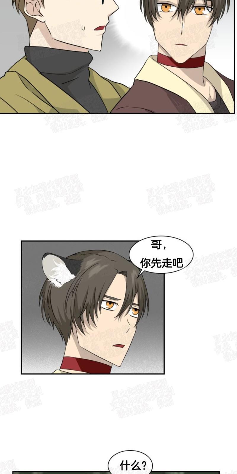 动物王国开大会作文300小学三年级漫画,第9话5图