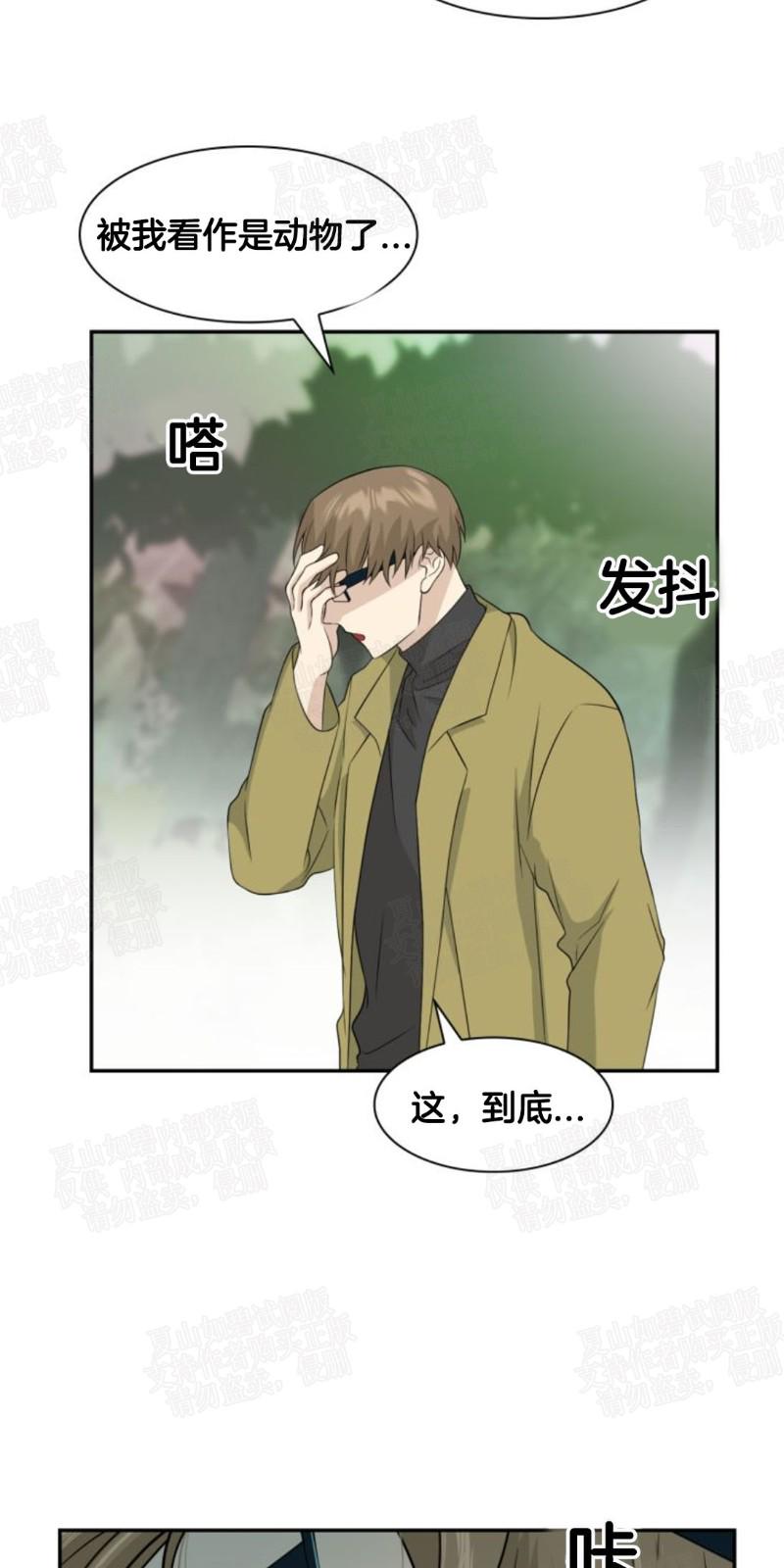 动物王国大冒险网盘漫画,第10话4图
