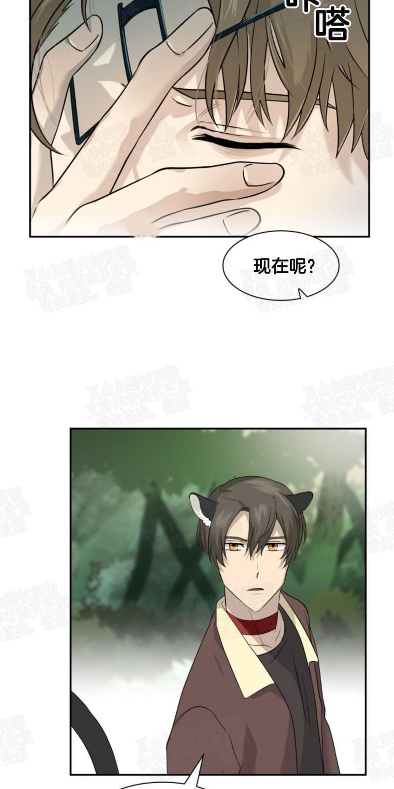 动物王国大冒险网盘漫画,第10话5图
