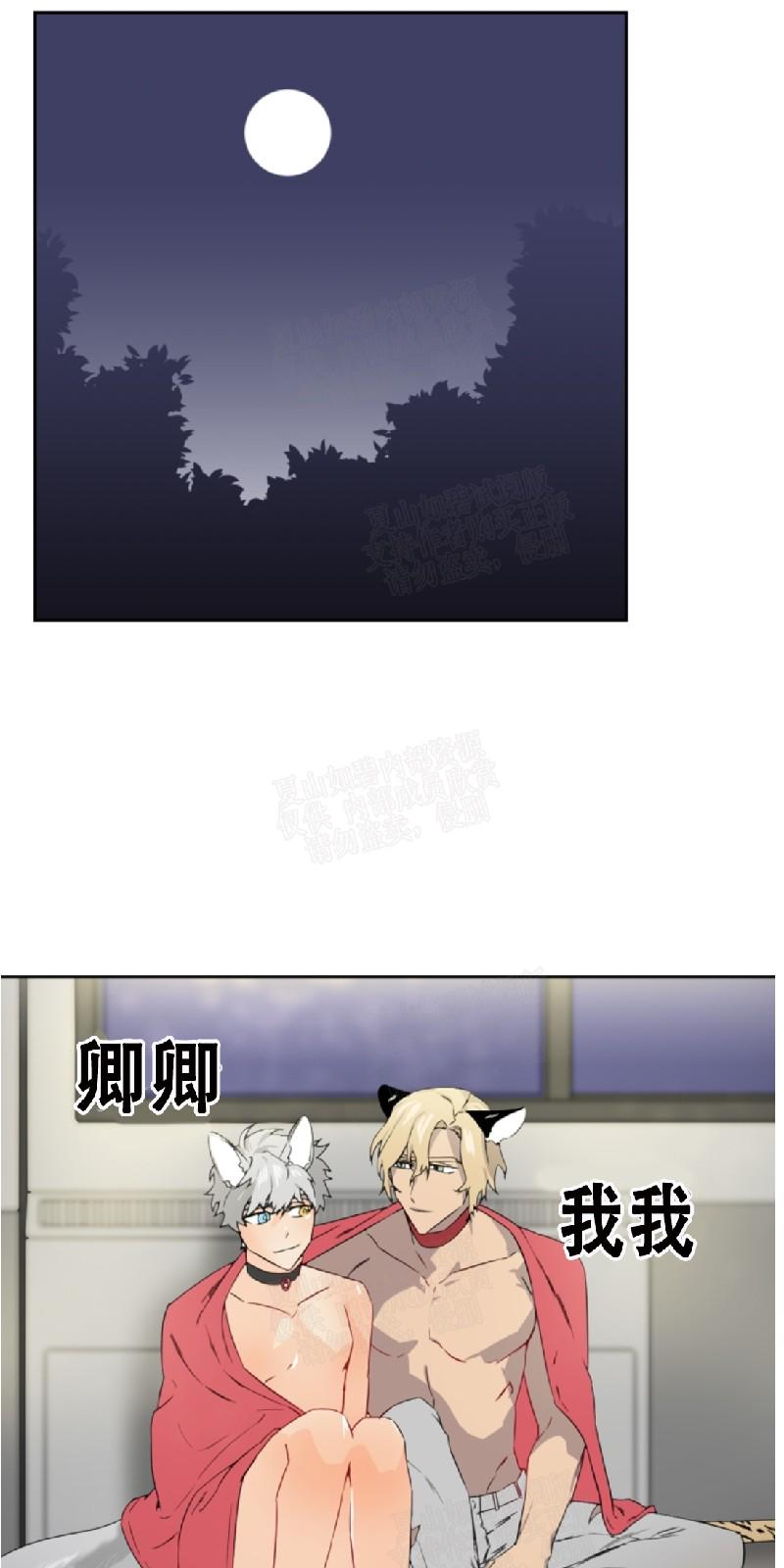 动物王国大冒险网盘漫画,第26话1图
