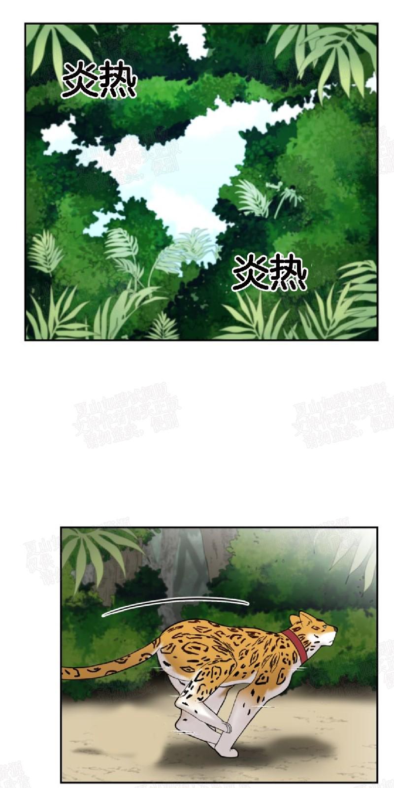 动物王国开大会作文300小学三年级漫画,第4话1图