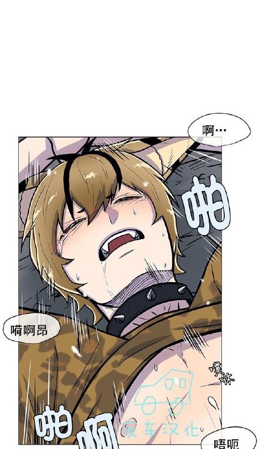 动物王国大冒险网盘漫画,第4话5图