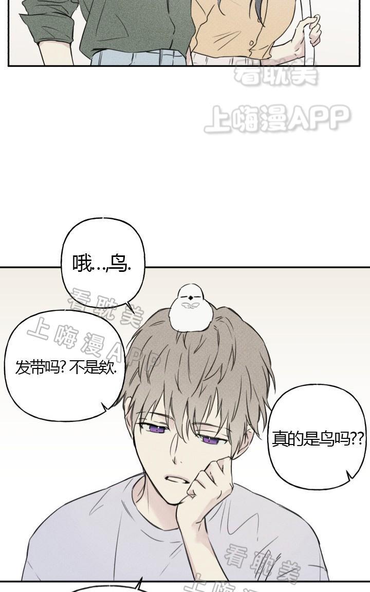 天使密友韩剧漫画,第3话3图