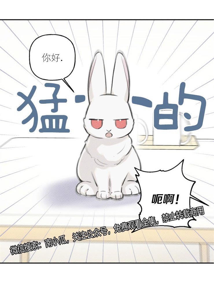 天使密友/天使拍档漫画,第45话5图