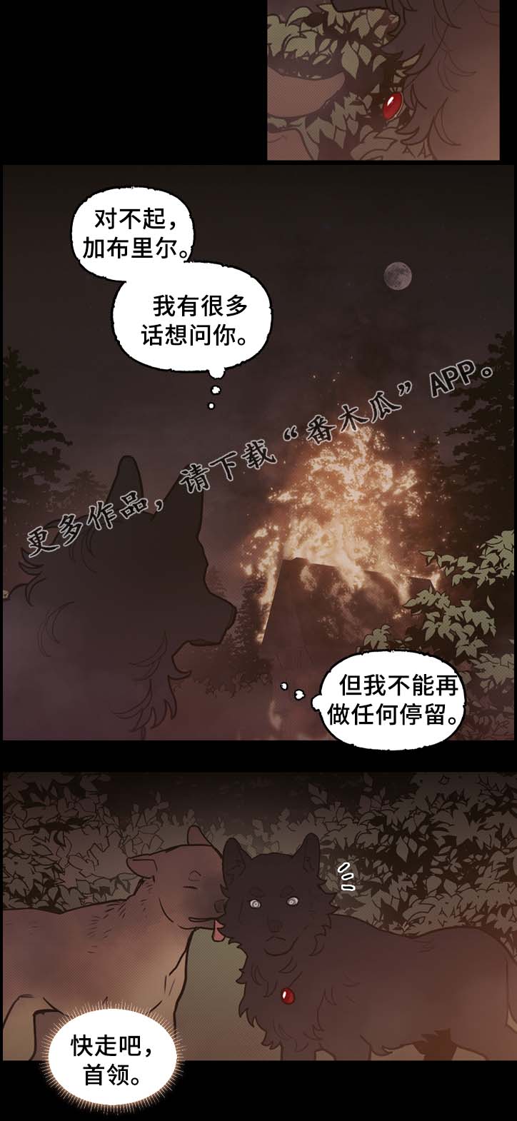 第62章：配角1