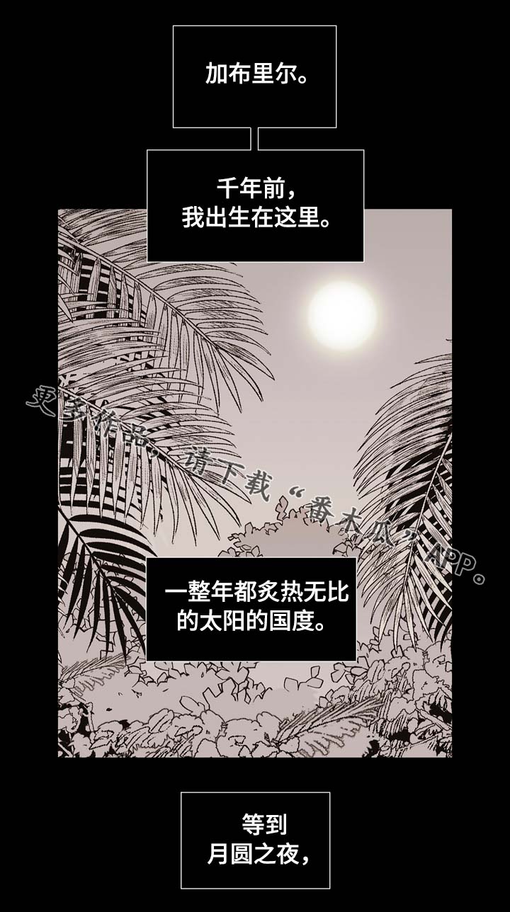 第66章：狼族秘辛0