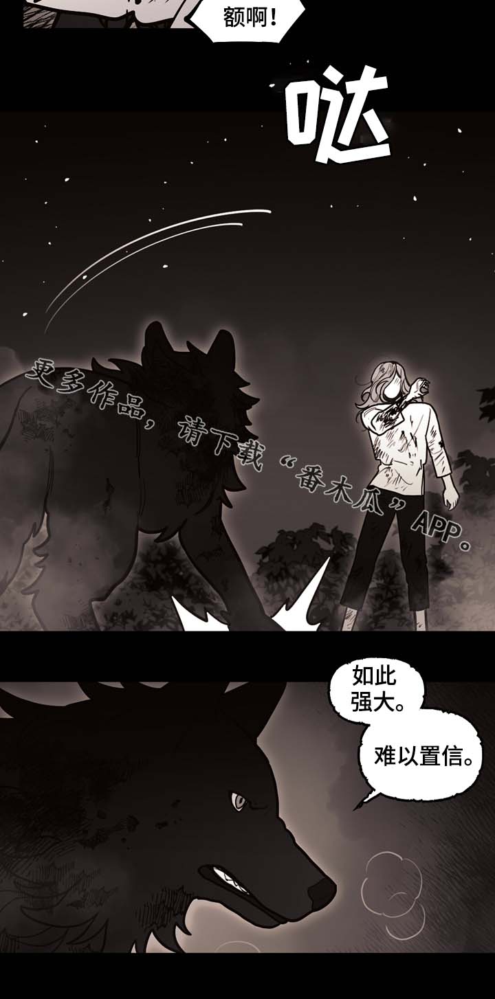 第68章：到底有多快2