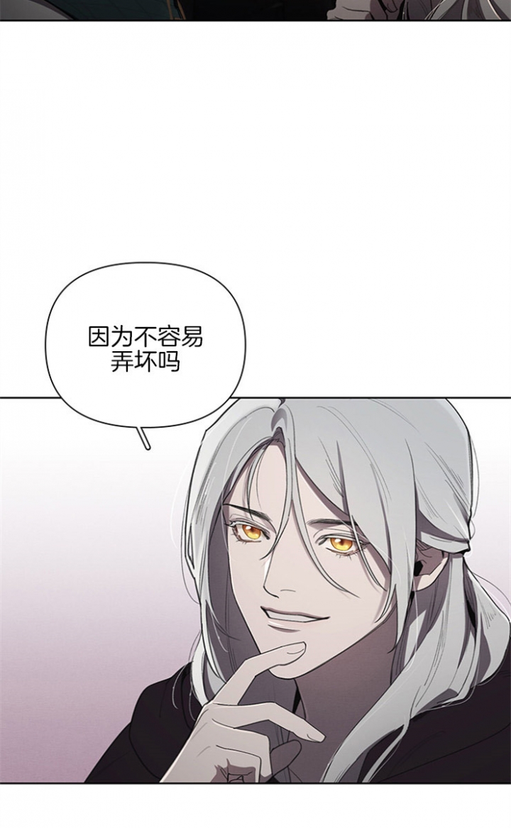 大公阁下的玩具结局是啥漫画,第20话4图