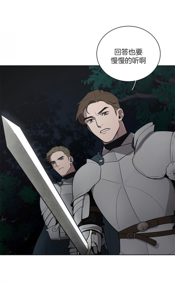大公阁下的宠物作者是谁漫画,第17话2图