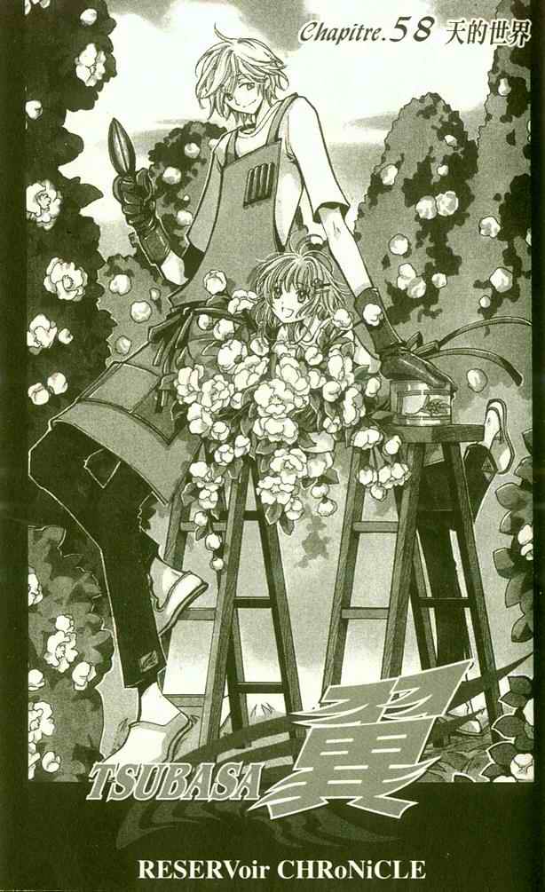 tsubasa翼一共多少话漫画,第9卷2图
