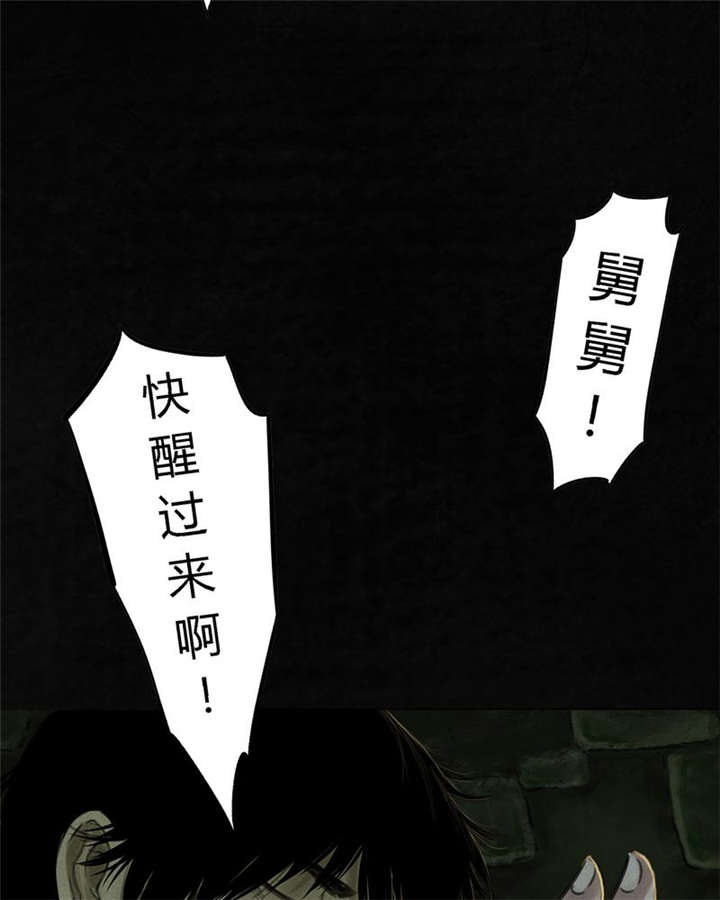 第46章：梦醒时分2