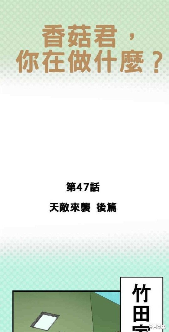 香菇君，你在做什么?漫画,第47话1图