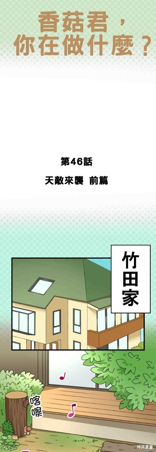香菇君，你在做什么?漫画,第46话1图