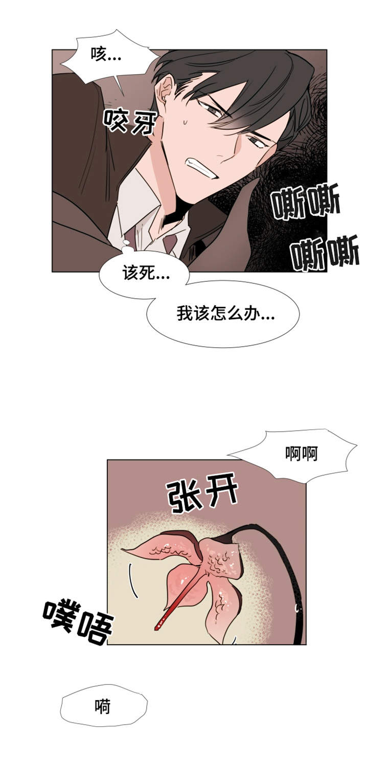 第23章：取出1
