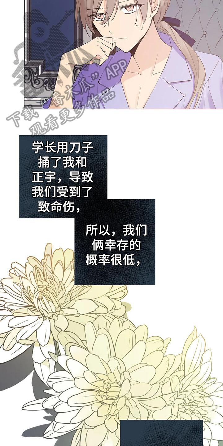 北方的狼吉他谱漫画,第6章：个人物品4图