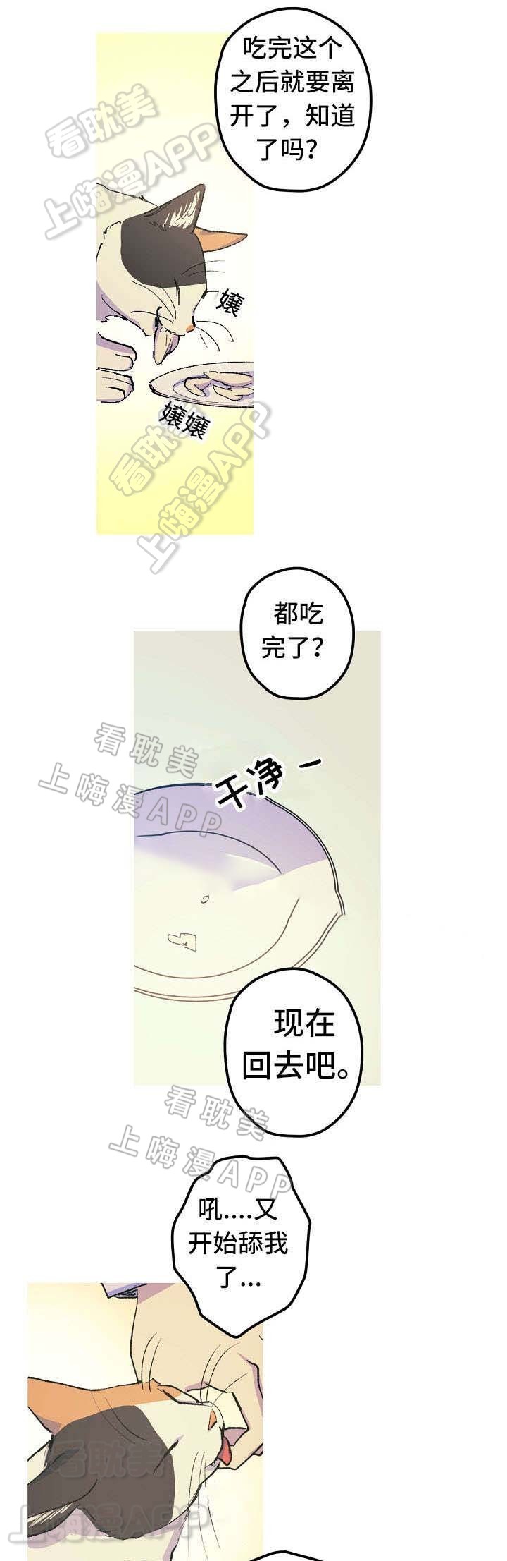 男友背着女友奔跑漫画,第12话5图
