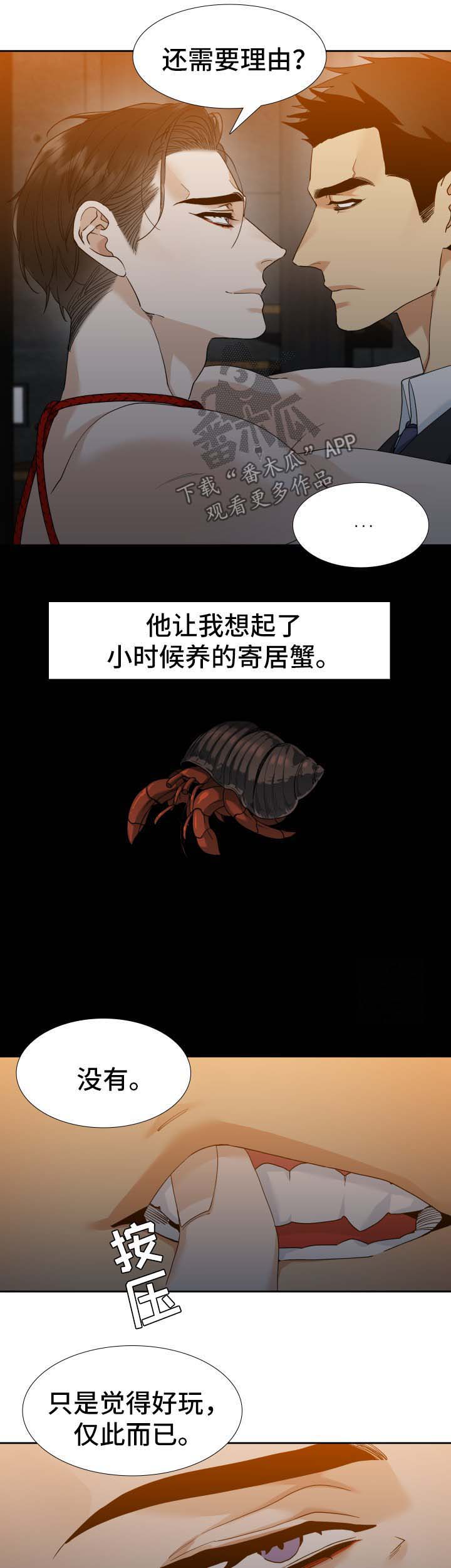 第20章：寄居蟹4