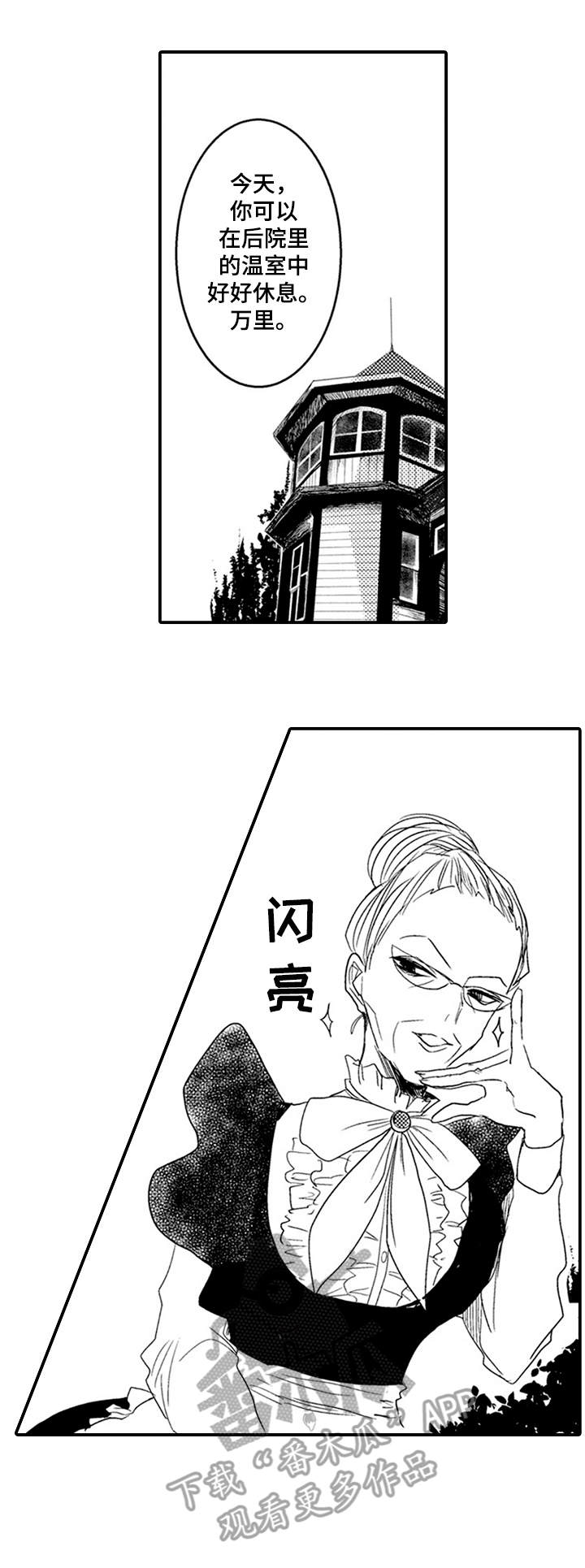 第11章：喜欢0