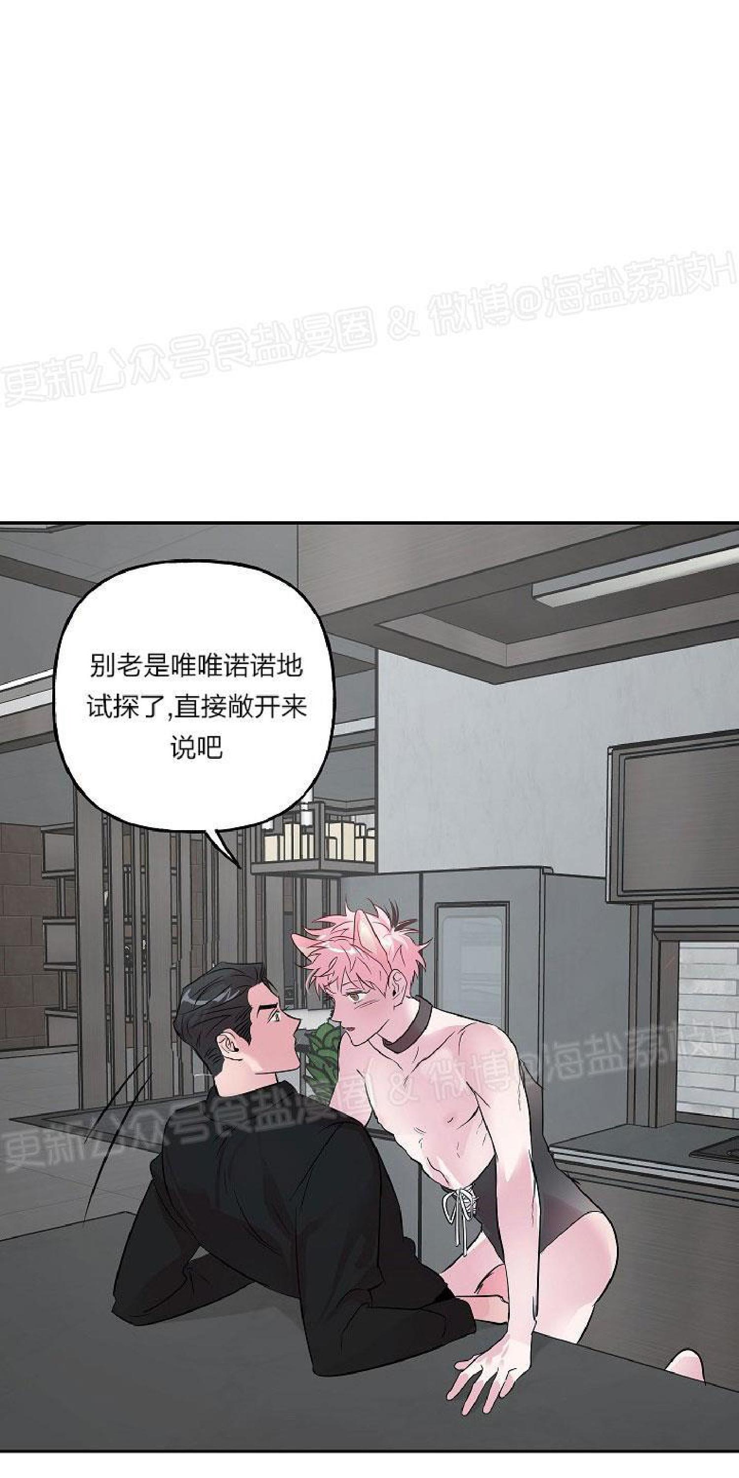 疯子套装组合人物介绍漫画,第25话2图