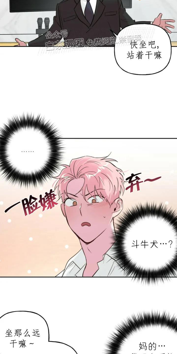 疯子套装组合人物介绍漫画,第33话第一季完结2图
