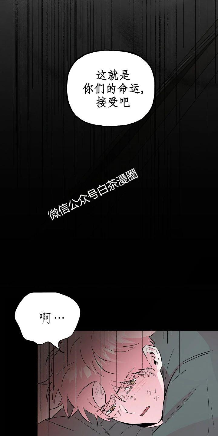 疯子套装组合人物介绍漫画,第52话5图