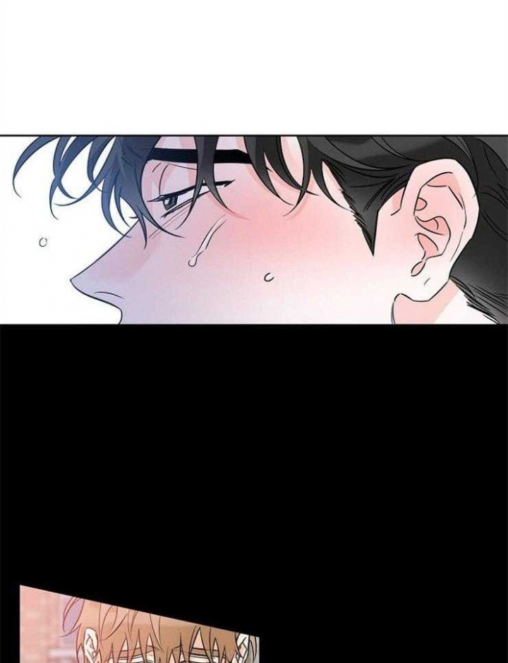 幸运天使人物介绍漫画,第33话5图