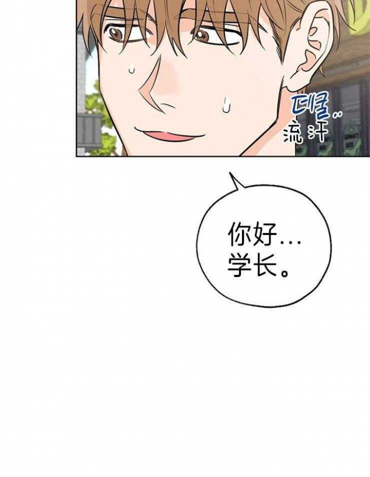 幸运天使人物介绍漫画,第31话5图