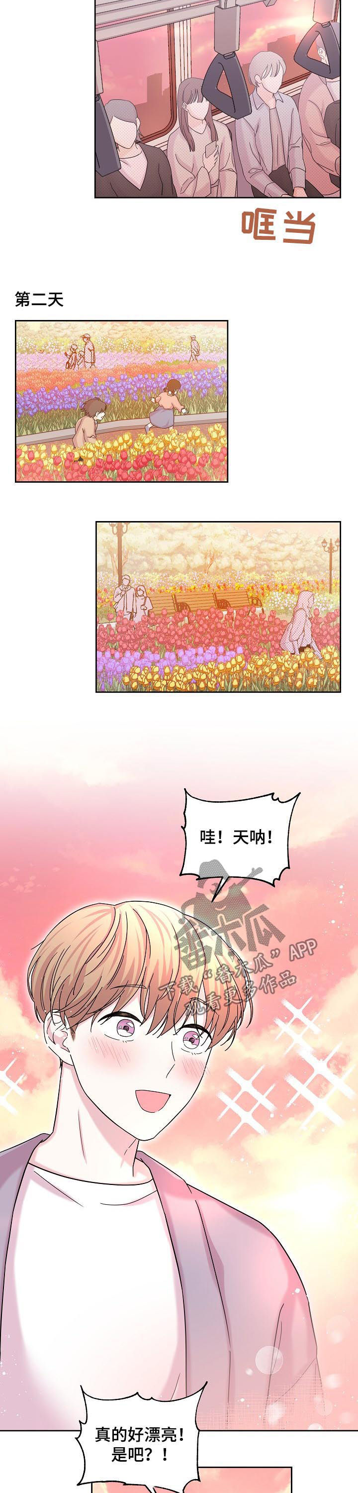 第61章：花海1