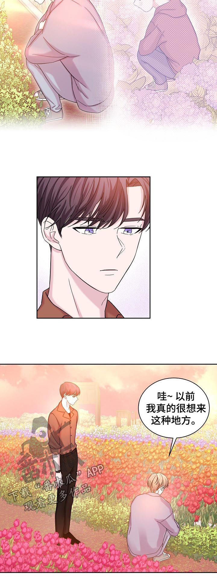 第61章：花海4