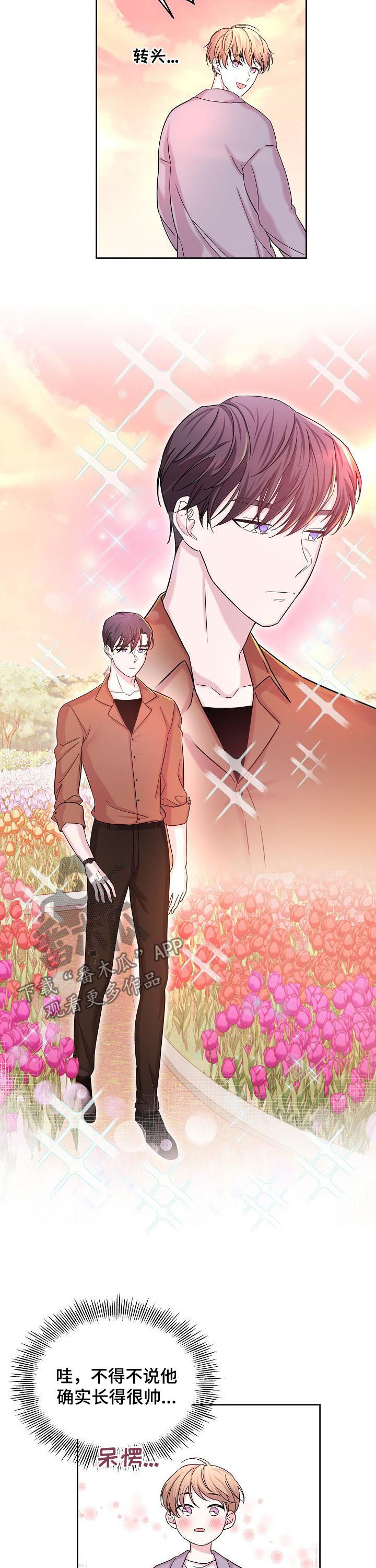 第61章：花海2