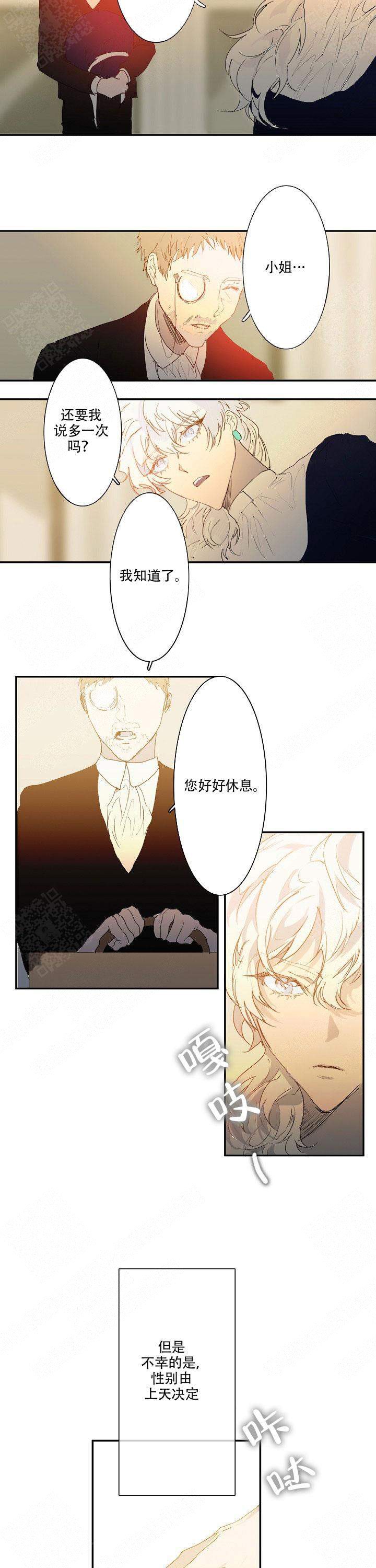 蜜月岛简介漫画,第1话5图