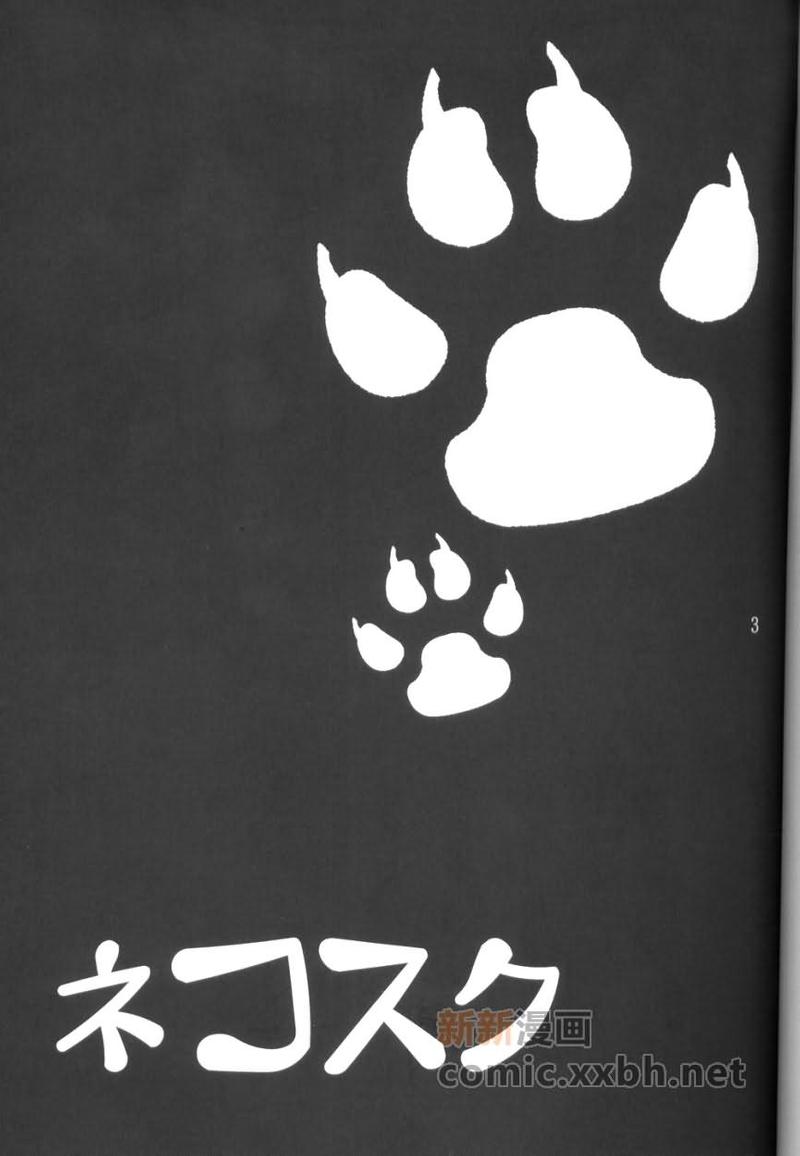 爱猫0
