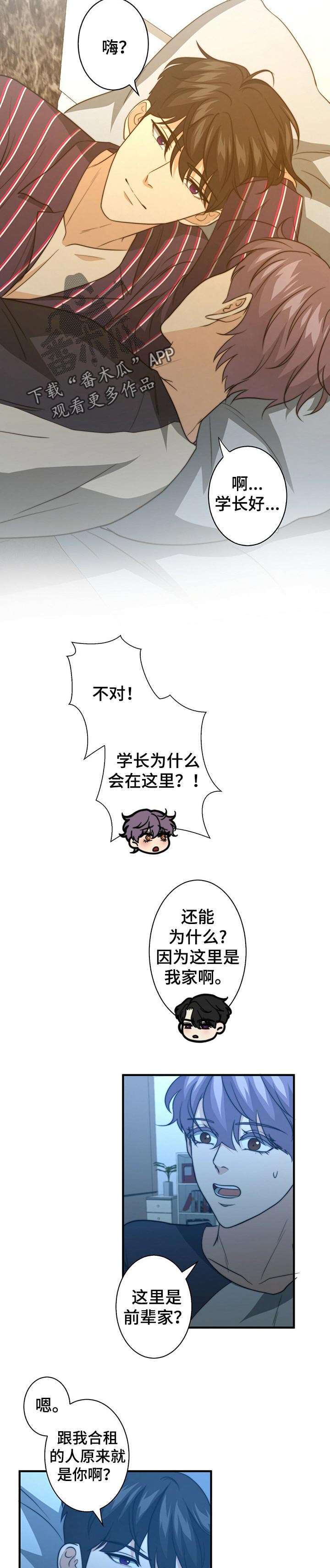 甜蜜配对漫画,第50章：都是陷阱2图