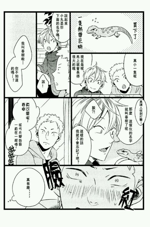 附赠4
