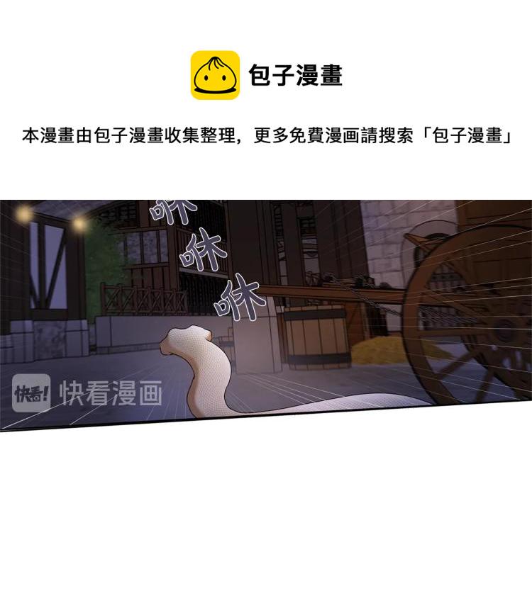 金发精灵师之天才的烦恼漫画107在线看漫画,第62话 粉丝遍地3图
