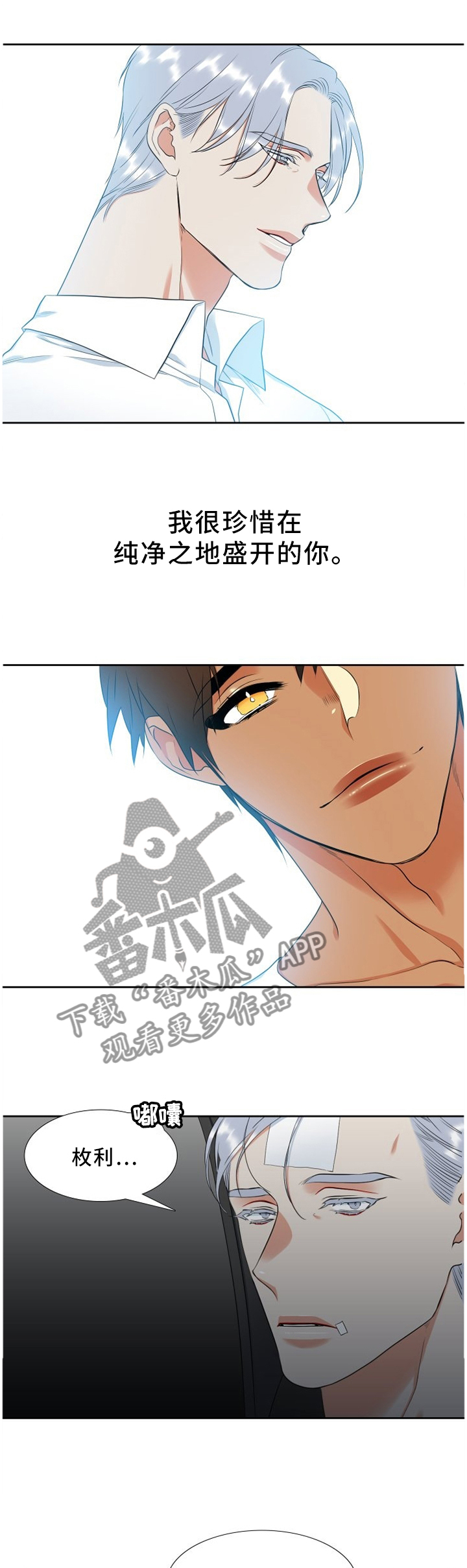 候鸟漫画,第166章：人生教训1图