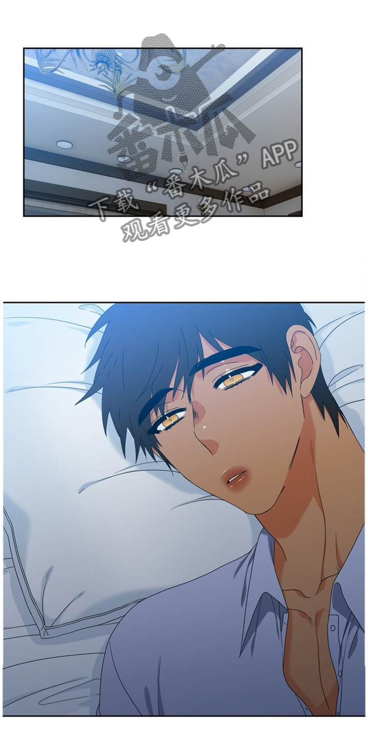 候鸟的勇敢迟子建在线阅读漫画,第251章：【第二季】探病1图