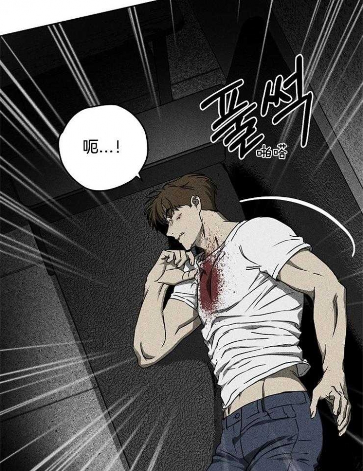 毒蛇列车漫画,第6话4图