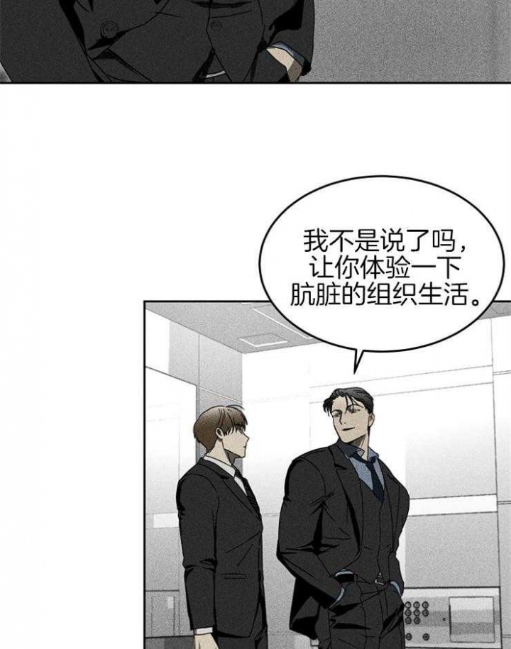 毒蛇咬伤草药偏方漫画,第10话5图