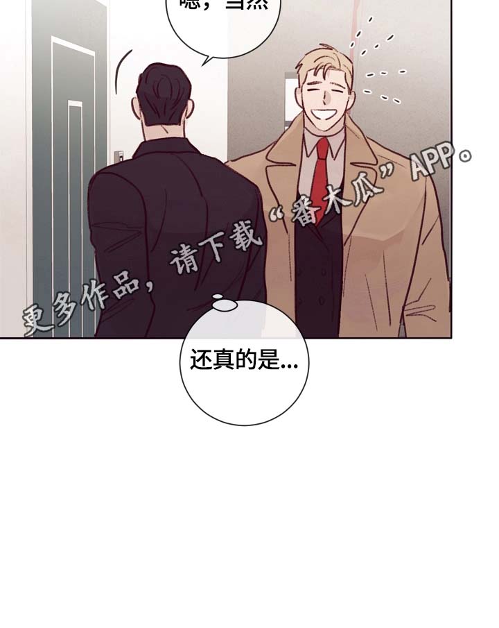 失踪案件真实解说漫画,第17章：期待2图