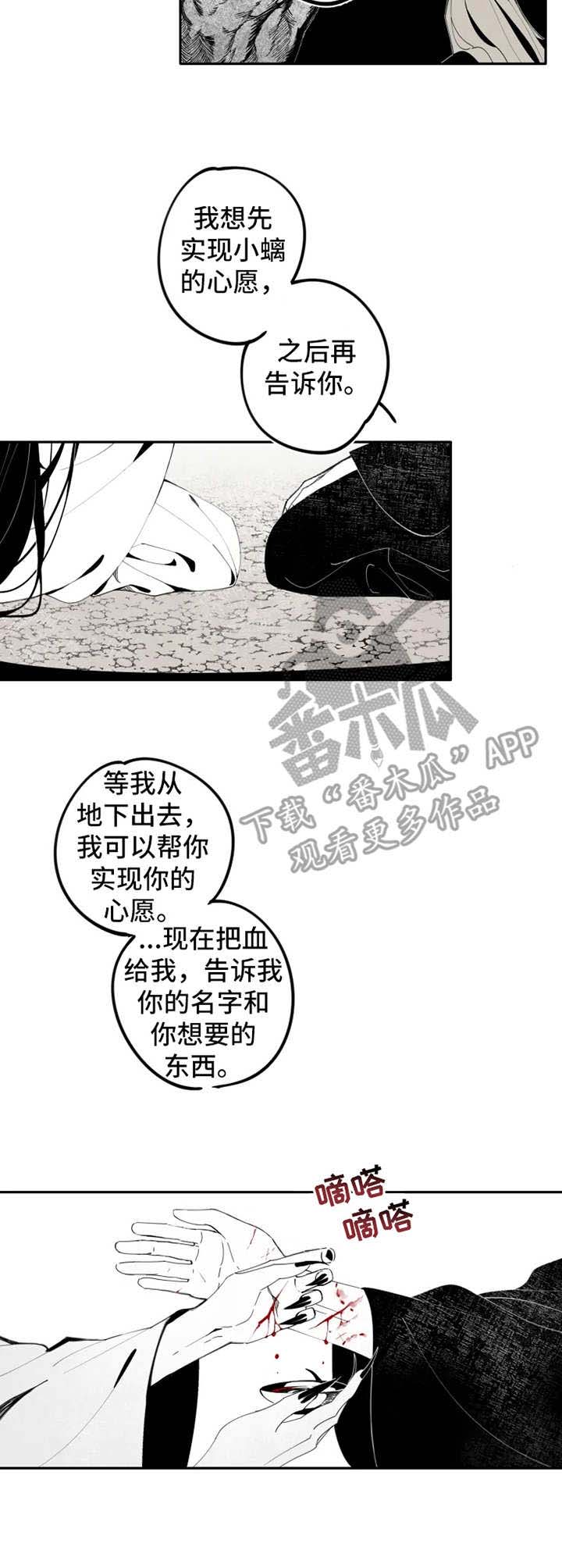 第12章：伤口4