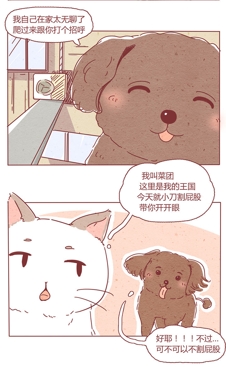 第2章：2