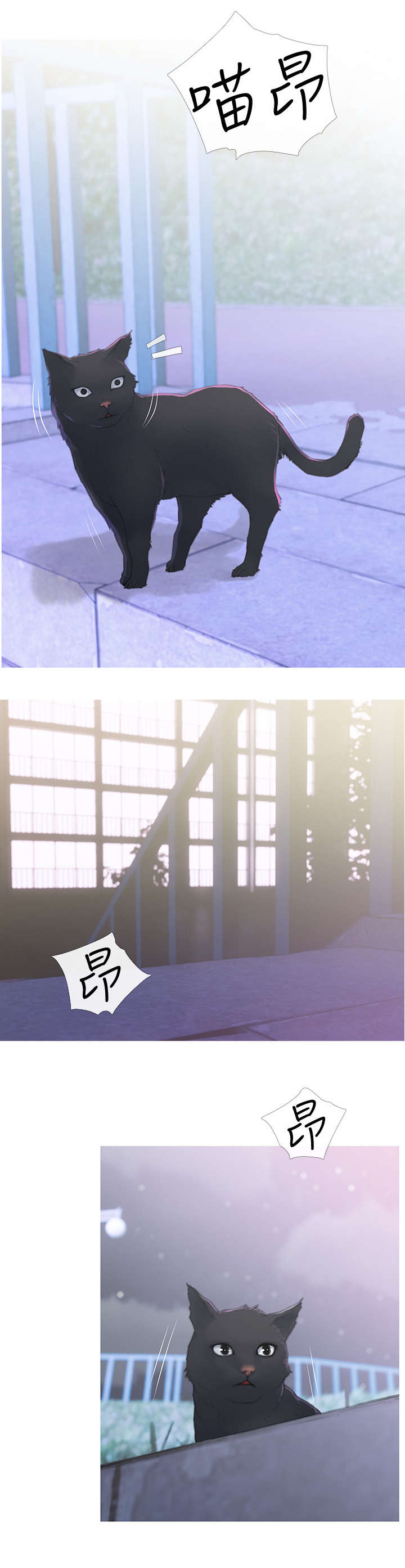 解决住房危机漫画,第1章：猫咪2图